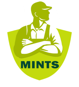 Mints Junk Removal