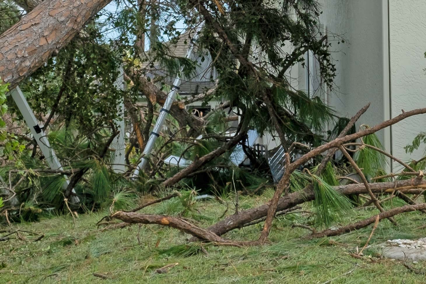 Storm Debris - Hurricane Debris Removal | Mints Storm Debris - Hurricane Debris Removal | Mints